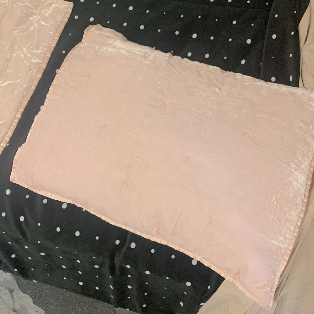 2 Opalhouse Velvet Tufted Pillow Shams pale pink